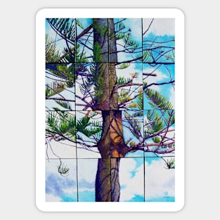 Pine Sticker